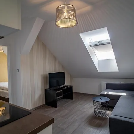 Apartmany Pisek Апартаменты *